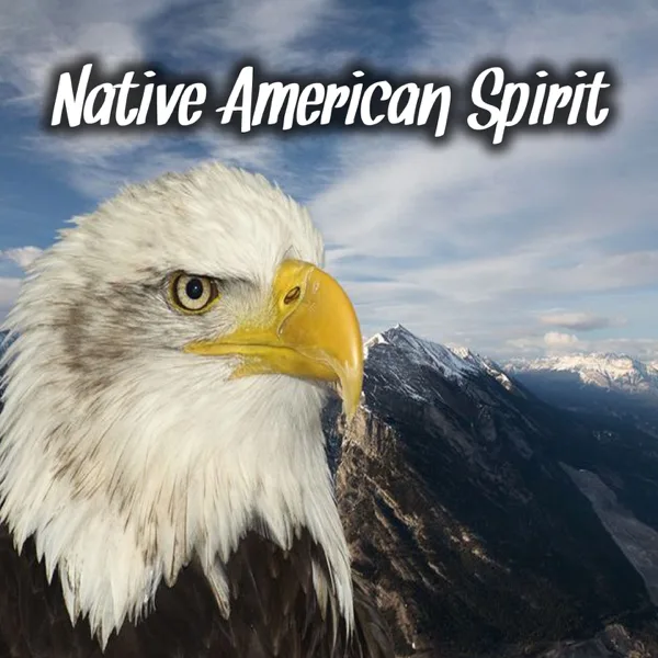 Apache — Indian Calling