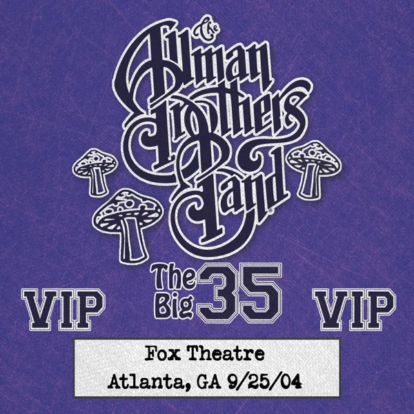 Don't Think Twice, It's All Right (Live) — The Allman Brothers Band