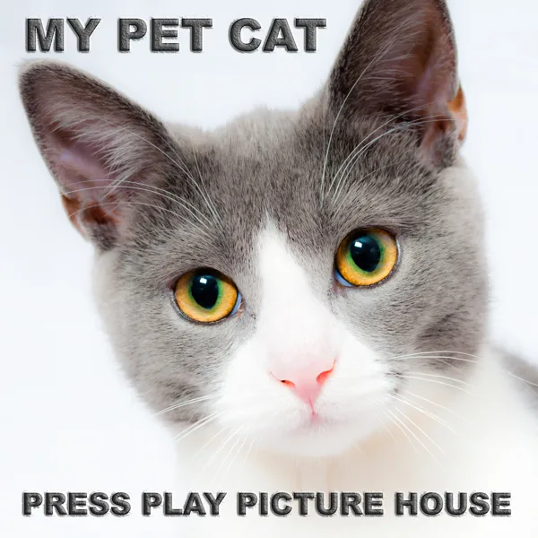 My Pet Cat — Press Play Picture House
