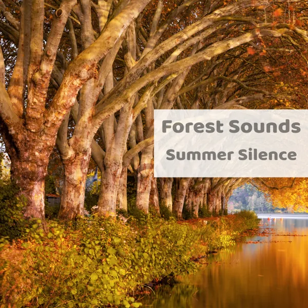 Mystic Nature — Forest Sounds