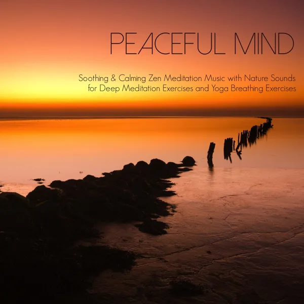 Prepare your Body for Meditation — Peaceful Music Orchestra