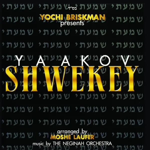 Rochem — Yaakov Shwekey