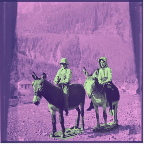 Settle Down — Golden Shoals