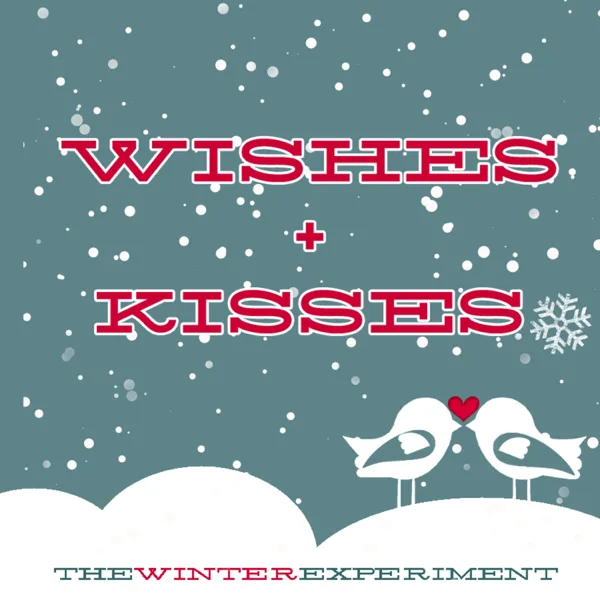 Snowflakes — The Winter Experiment