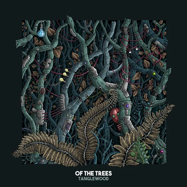 Spanish Moss — Of The Trees