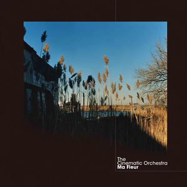 To Build a Home (feat. Patrick Watson) — The Cinematic Orchestra