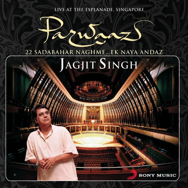 Tumko Dekha To (Live) — Jagjit Singh