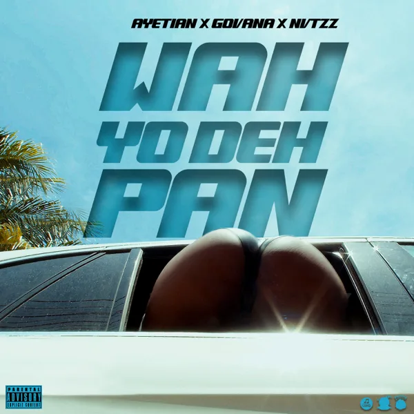 Wah Yo Deh Pan — Ayetian, Govana & Nvtzz