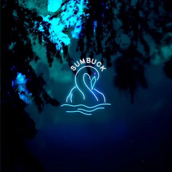 We Will Dance Again — Sumbuck